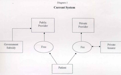 Fees will follow the patient