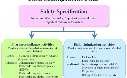 Risk Management Plan