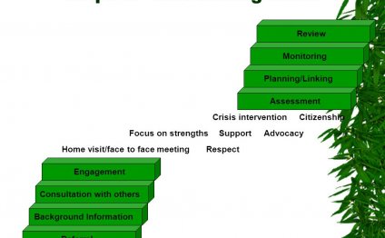 Case Management Assessment