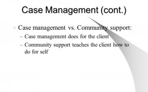 Case Management Services definition