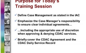 Define Case Management